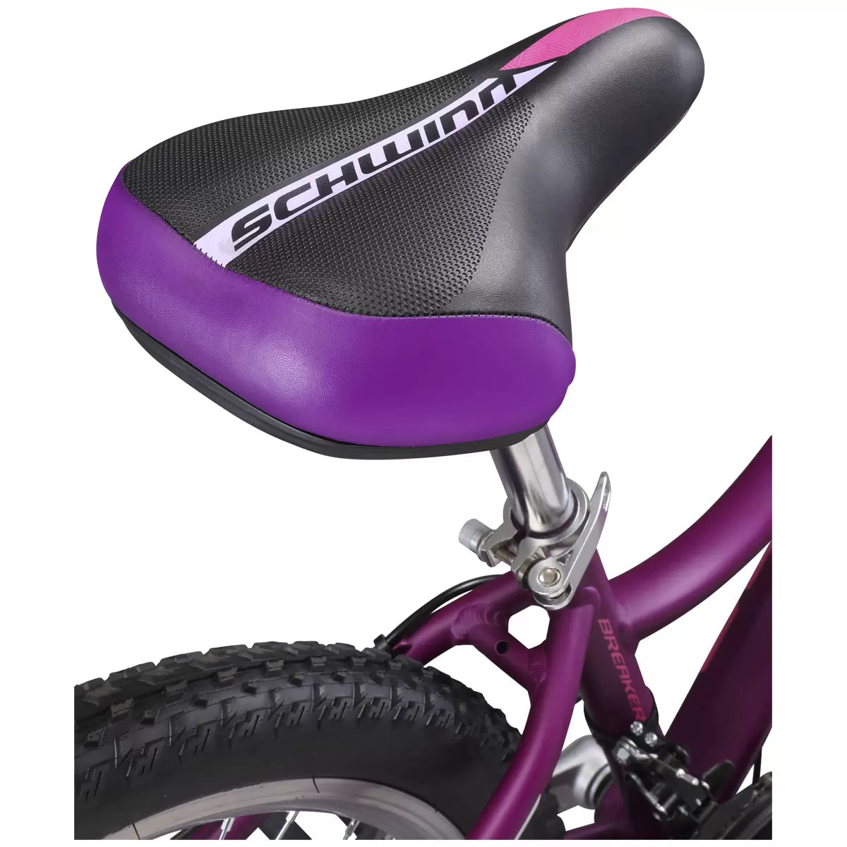 Schwinn 24 inch bike store girl